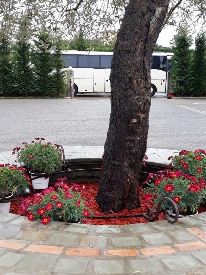 Drini Hotel Rrashbull Экстерьер фото